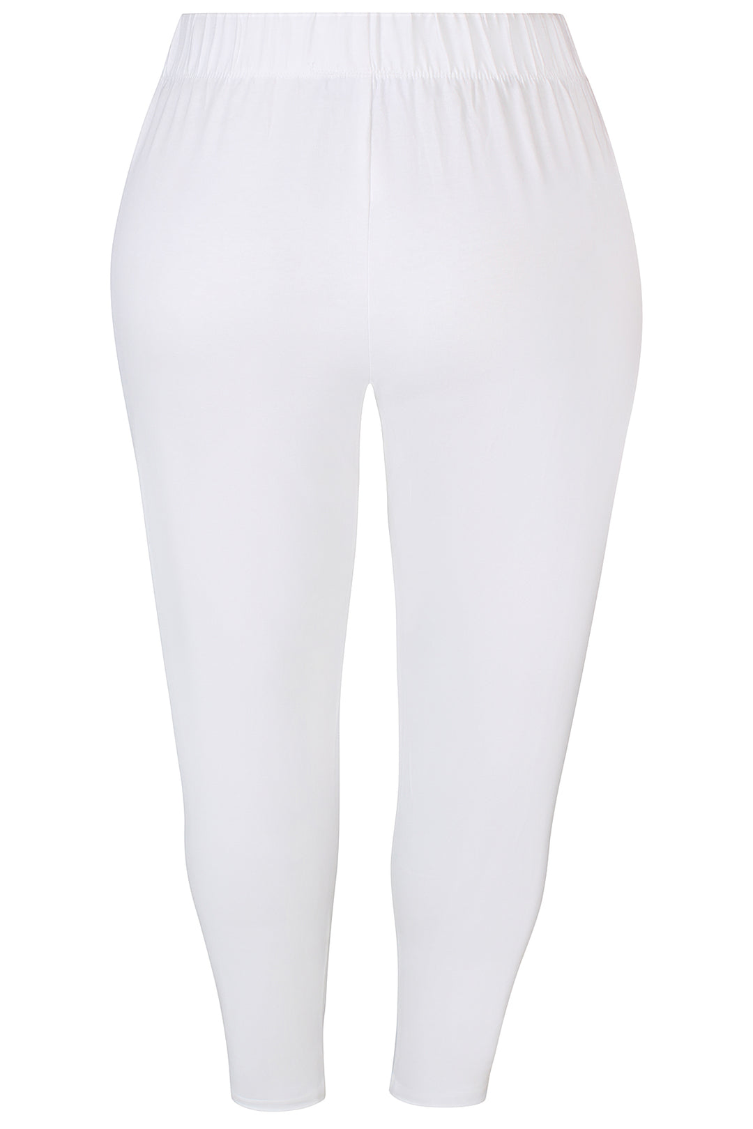 ZH - Kant 717 - Legging -