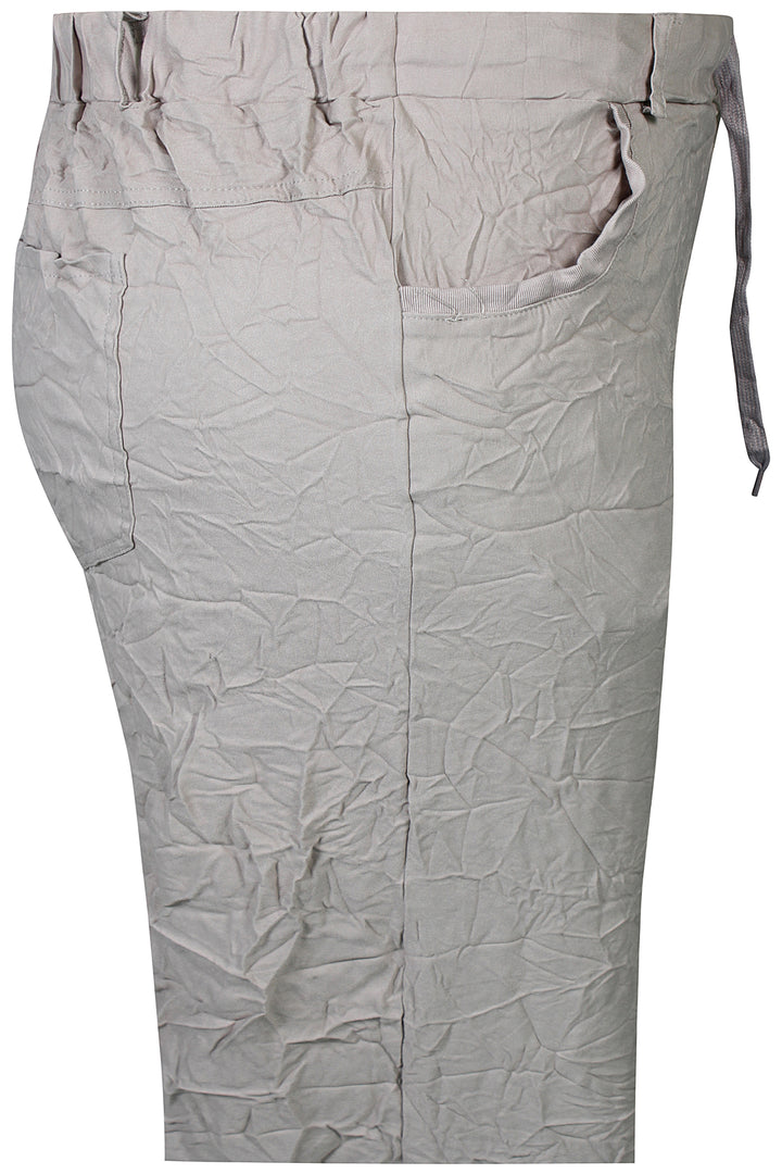 ZH - Chaya 1393 - Pants - Sand